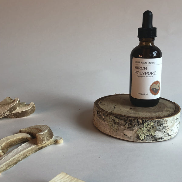 BIRCH POLYPORE MUSHROOM - TINCTURE - Chi for Healing