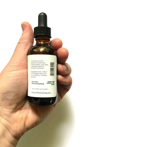 BIRCH POLYPORE MUSHROOM - TINCTURE - Chi for Healing