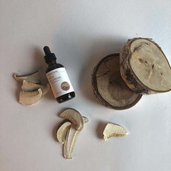 BIRCH POLYPORE MUSHROOM - TINCTURE - Chi for Healing