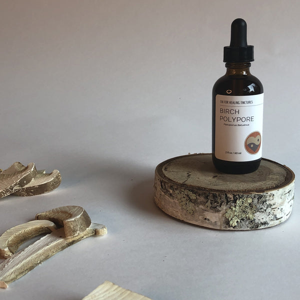 BIRCH POLYPORE MUSHROOM - TINCTURE - Chi for Healing