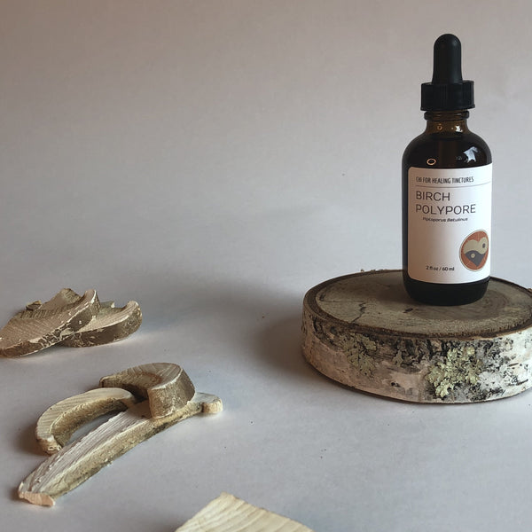BIRCH POLYPORE MUSHROOM - TINCTURE - Chi for Healing
