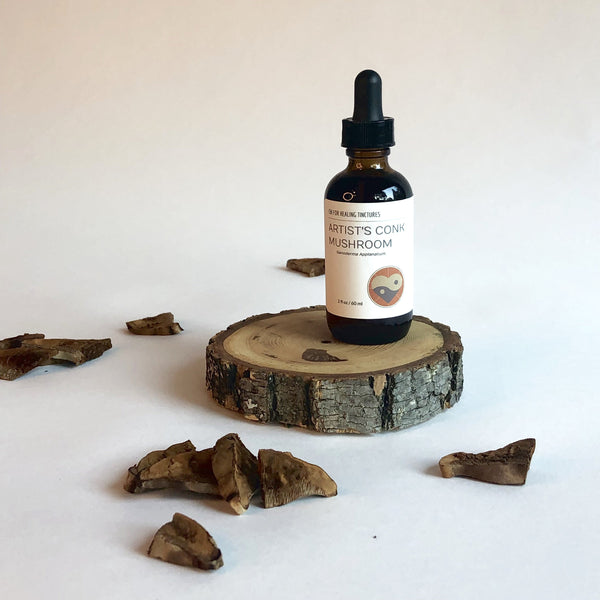 ARTIST'S CONK MUSHROOM - TINCTURE - Chi for Healing