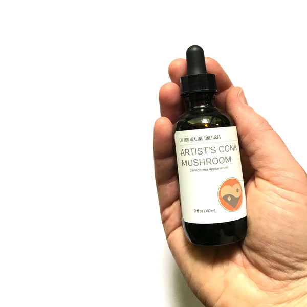 ARTIST'S CONK MUSHROOM - TINCTURE - Chi for Healing
