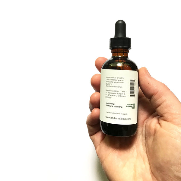 ARTIST'S CONK MUSHROOM - TINCTURE - Chi for Healing