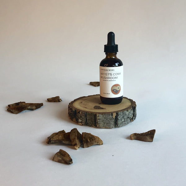 ARTIST'S CONK MUSHROOM - TINCTURE - Chi for Healing