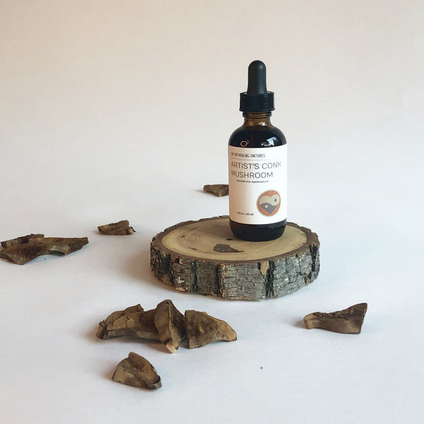 ARTIST'S CONK MUSHROOM - TINCTURE - Chi for Healing