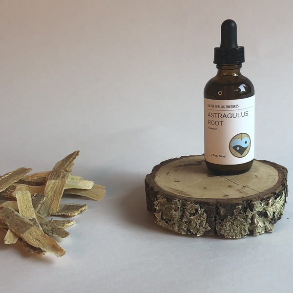 ASTRAGALUS ROOT - TINCTURE - Chi for Healing