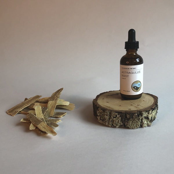 ASTRAGALUS ROOT - TINCTURE - Chi for Healing