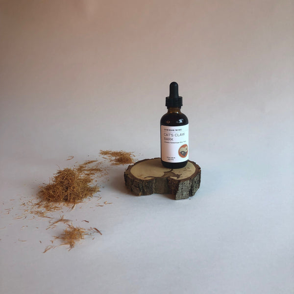 CATS CLAW - TINCTURE - Chi for Healing