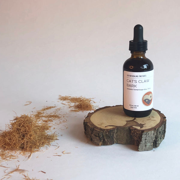 CATS CLAW - TINCTURE - Chi for Healing