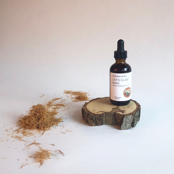 CATS CLAW - TINCTURE - Chi for Healing