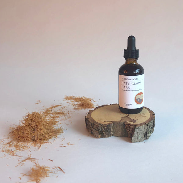 CATS CLAW - TINCTURE - Chi for Healing