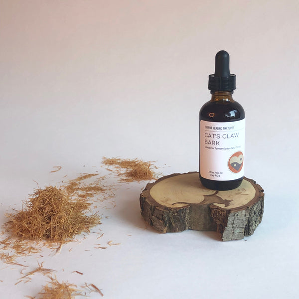 CATS CLAW - TINCTURE - Chi for Healing
