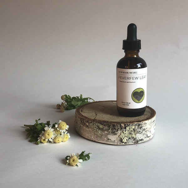FEVERFEW - TINCTURE - Chi for Healing