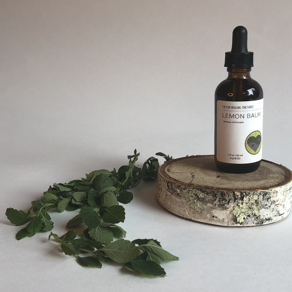 LEMON BALM - TINCTURE - Chi for Healing
