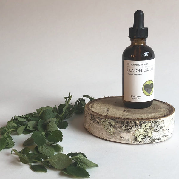 LEMON BALM - TINCTURE - Chi for Healing