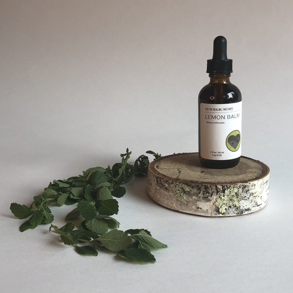 LEMON BALM - TINCTURE - Chi for Healing
