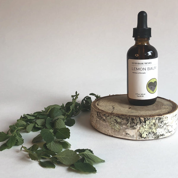 LEMON BALM - TINCTURE - Chi for Healing