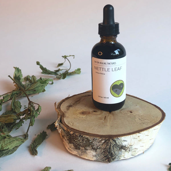 NETTLE LEAF - TINCTURE - Chi for Healing