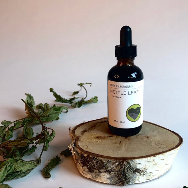 NETTLE LEAF - TINCTURE - Chi for Healing