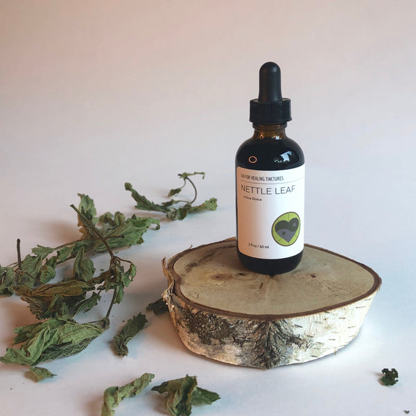 NETTLE LEAF - TINCTURE - Chi for Healing