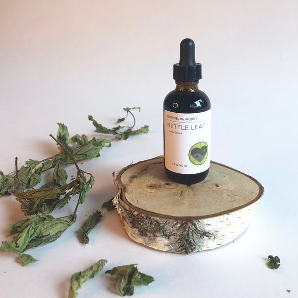 NETTLE LEAF - TINCTURE - Chi for Healing