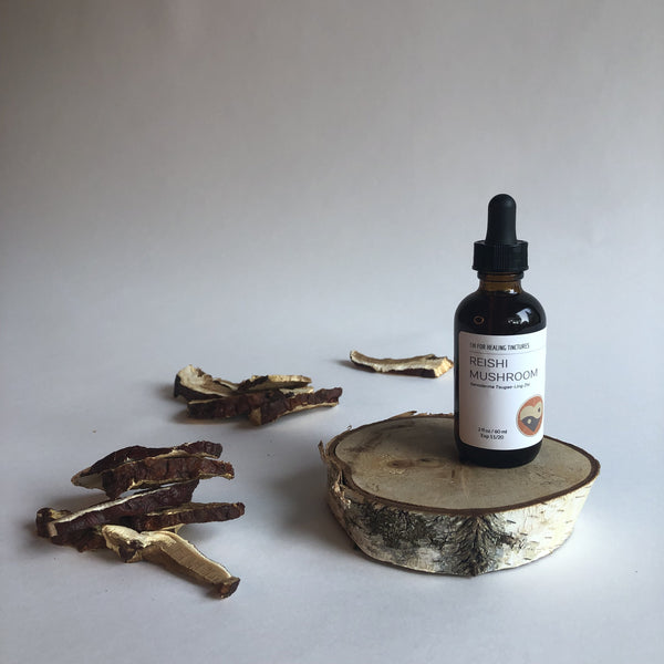 REISHI MUSHROOM - TINCTURE - Chi for Healing