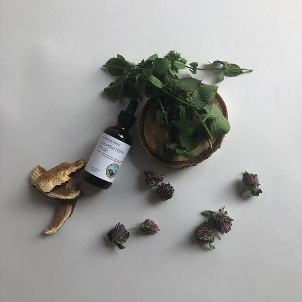 RESPIRATORY TONIC - TINCTURE - Chi for Healing
