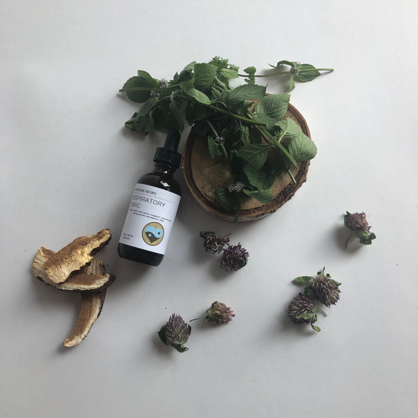 RESPIRATORY TONIC - TINCTURE - Chi for Healing