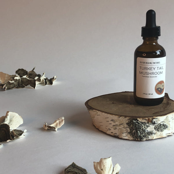 TURKEY TAIL MUSHROOM - TINCTURE - Chi for Healing