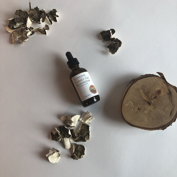 TURKEY TAIL MUSHROOM - TINCTURE - Chi for Healing