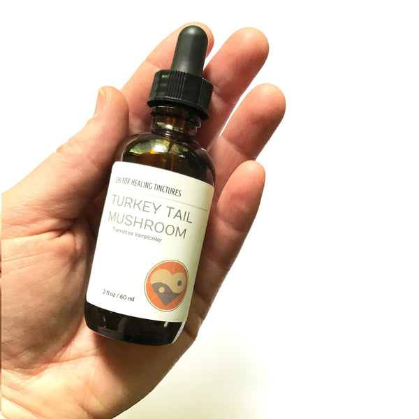 TURKEY TAIL MUSHROOM - TINCTURE - Chi for Healing