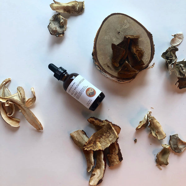 WILD MUSHROOM - TINCTURE - Chi for Healing