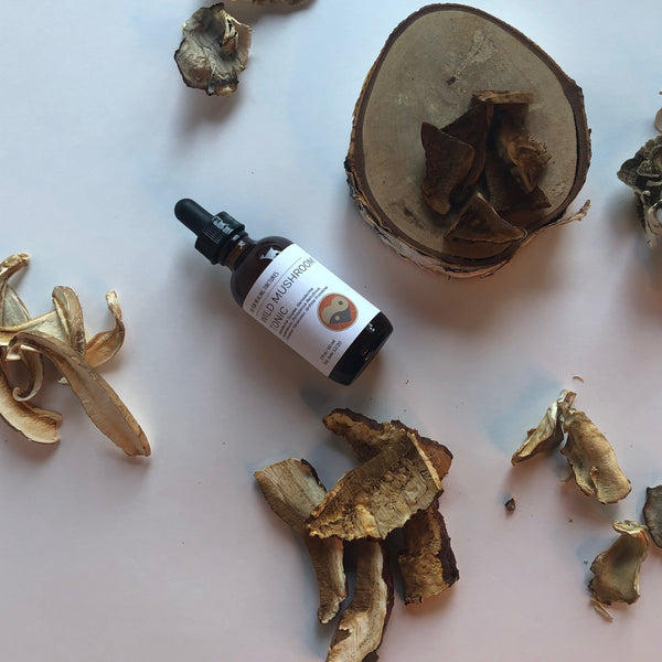 WILD MUSHROOM - TINCTURE - Chi for Healing