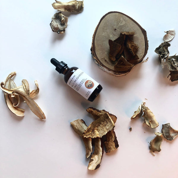 WILD MUSHROOM - TINCTURE - Chi for Healing