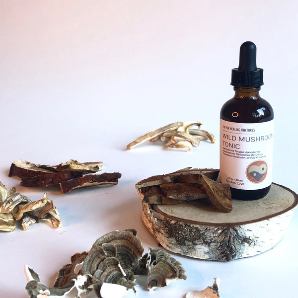 WILD MUSHROOM - TINCTURE - Chi for Healing