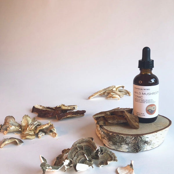 WILD MUSHROOM - TINCTURE - Chi for Healing