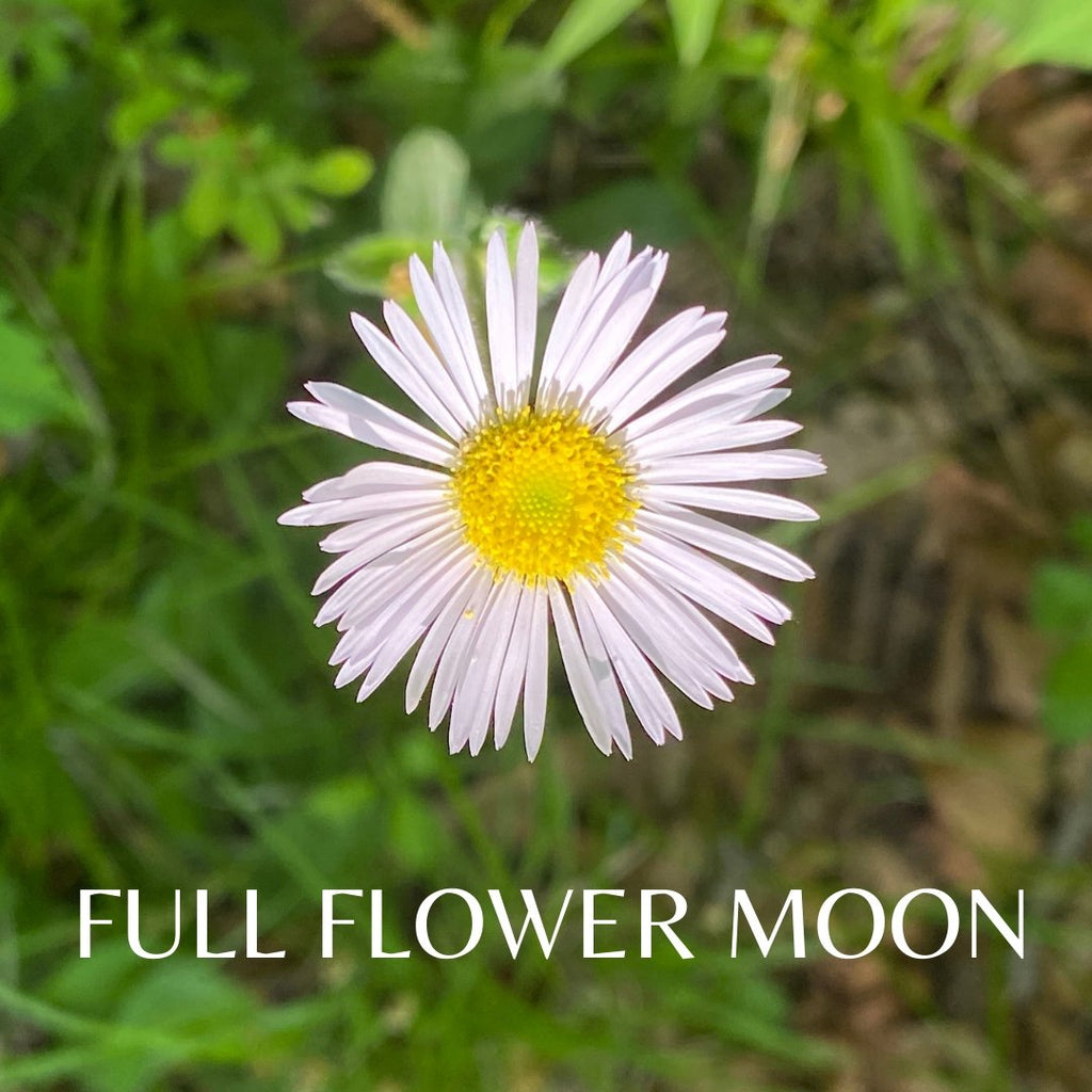 Full flower moon inspiration