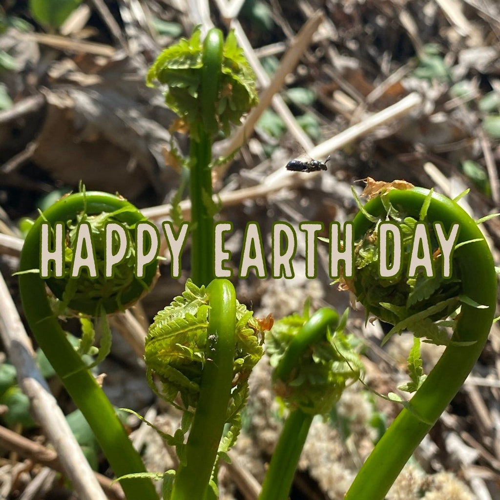 Happy Earth Day! earth connection & sustainability newsletter