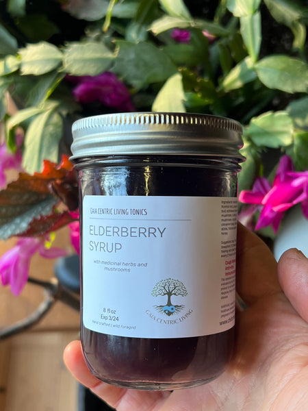 Elderberry Syrup with Medicinal Herbs and Mushrooms