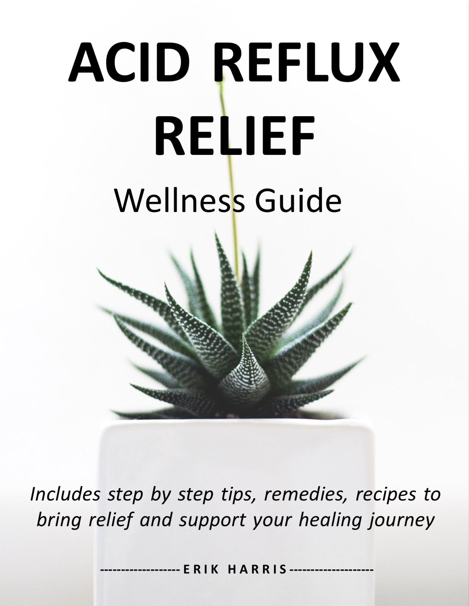 ACID REFLUX RELIEF - WELLNESS GUIDE - Chi for Healing