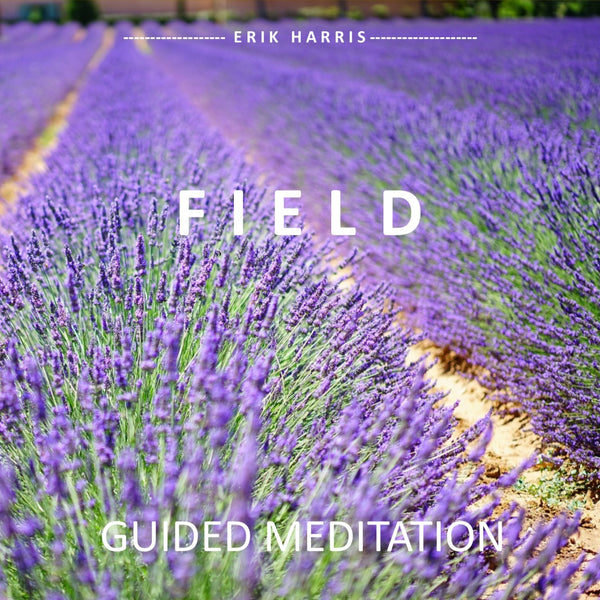 FIELD- GUIDED MEDITATION - Chi for Healing