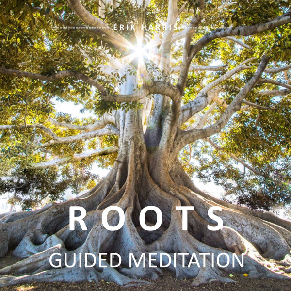 ROOTS - GUIDED MEDITATION - Chi for Healing