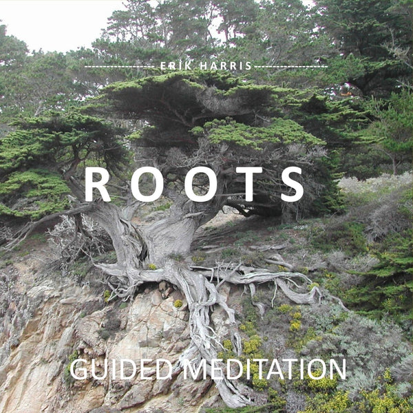 ROOTS - GUIDED MEDITATION - Chi for Healing