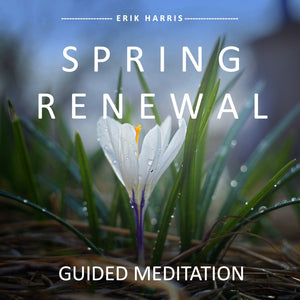 Spring renewal meditation, digital download, guided meditation - Chi for Healing