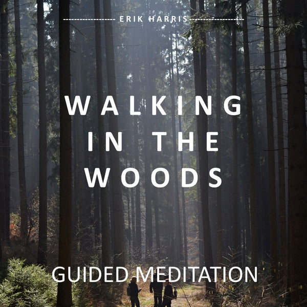 WALKING IN THE WOODS - GUIDED MEDITATION - Chi for Healing